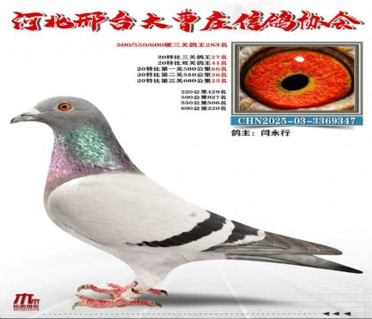 20�ر����ظ���27��