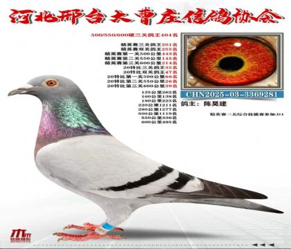 20�ر����ظ���35��
