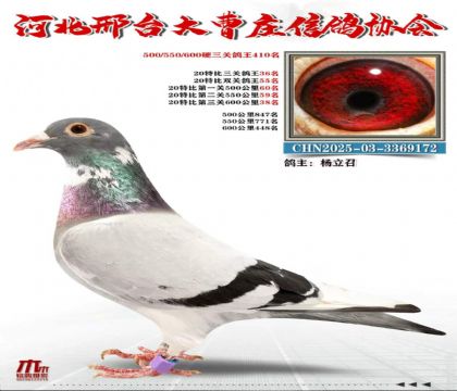 20�ر����ظ���36��