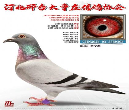 20�ر�˫�ؼ���