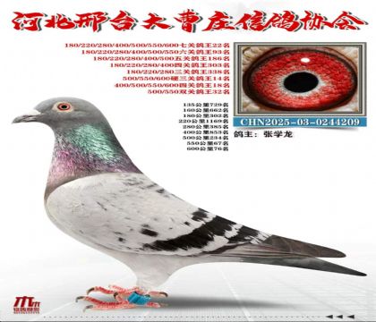 Ӳ���ظ���14��