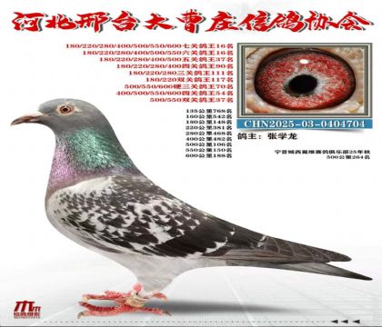 �߹ظ���16��