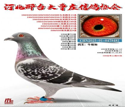�߹ظ���15��