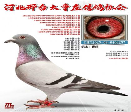 �߹ظ���17��