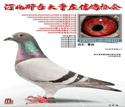 �߹ظ���21��