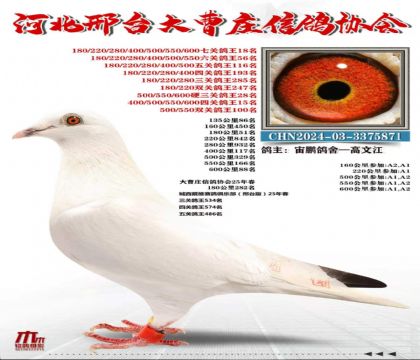 �߹ظ���18��