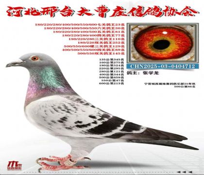 �߹ظ���23��