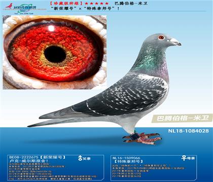 父