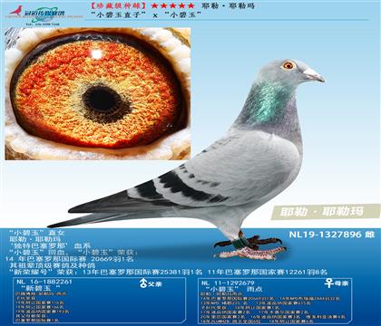 母