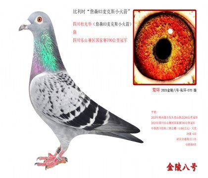 3,比利时“詹森03麦克斯小火箭”