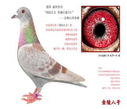 6,德国 威利里奇“国际红公 詹森红狐731”-会爬山的詹森