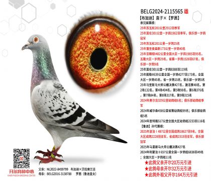 5父亲-2115565
