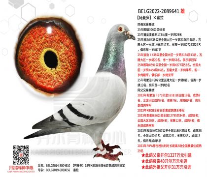 5父亲22-2089641