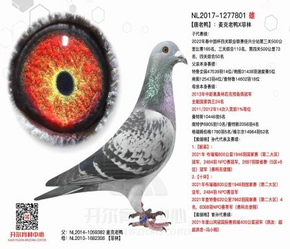 5父亲-1277801