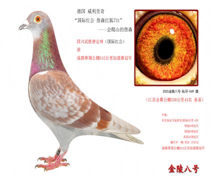 9,德国 威利里奇“国际红公 詹森红狐731”-会爬山的詹森