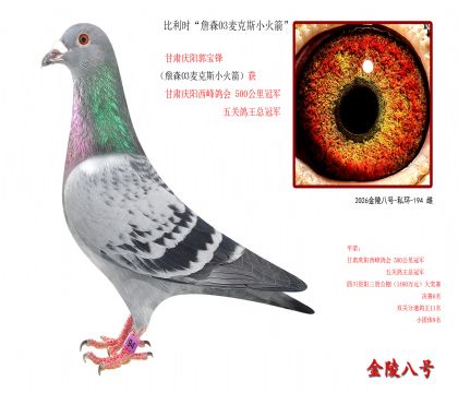 10,比利时“詹森03麦克斯小火箭”
