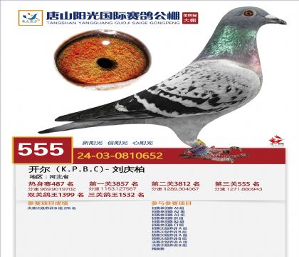 6母亲-0810652
