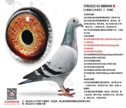 6母亲-0880648