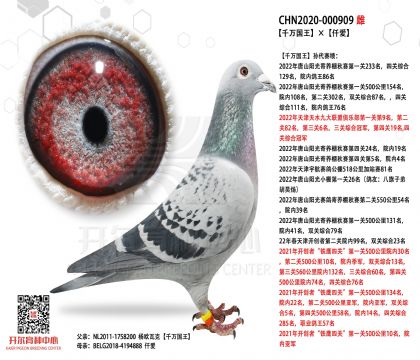 6母亲-000909