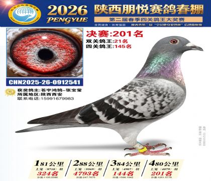 陕西朋悦决赛201名