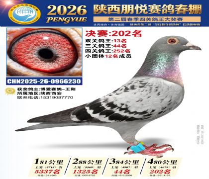 陕西朋悦决赛202名