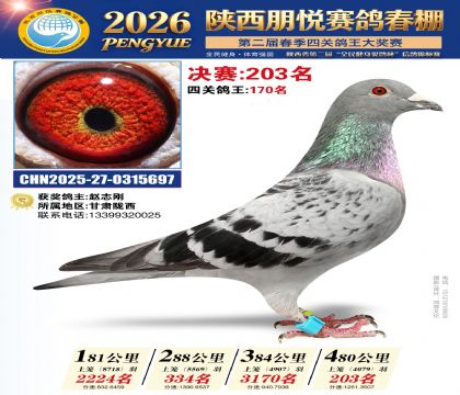 陕西朋悦决赛203名