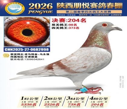 陕西朋悦决赛204名