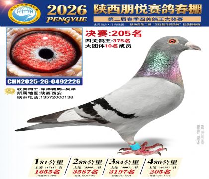 陕西朋悦决赛205名
