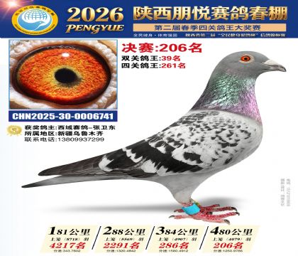 陕西朋悦决赛206名