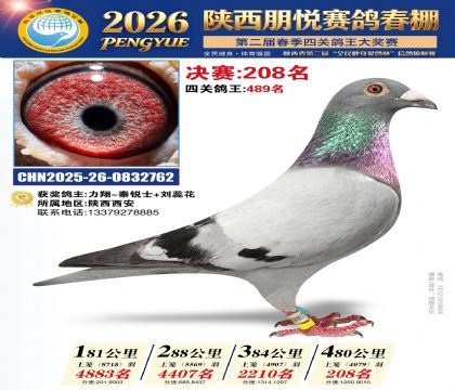 陕西朋悦决赛208名