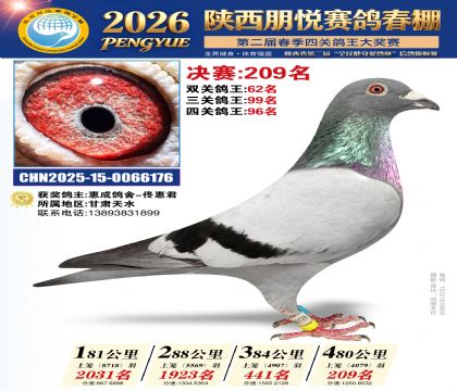 陕西朋悦决赛209名