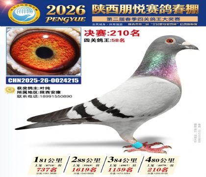 陕西朋悦决赛210名