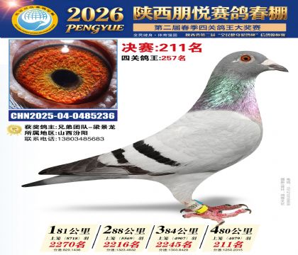 陕西朋悦决赛211名