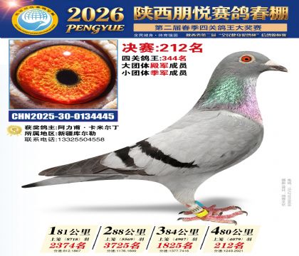 陕西朋悦决赛212名