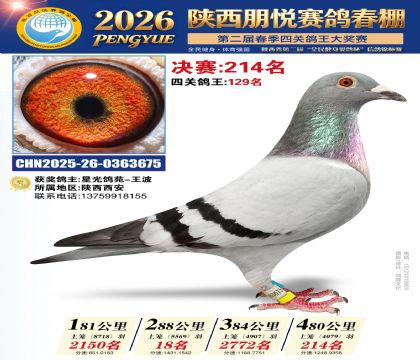 陕西朋悦决赛214名