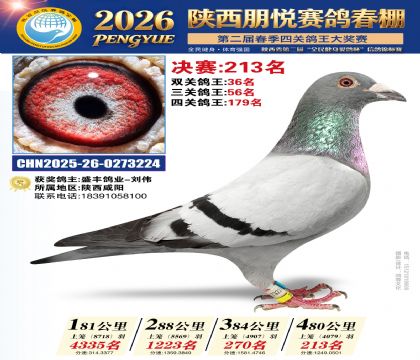 陕西朋悦决赛213名