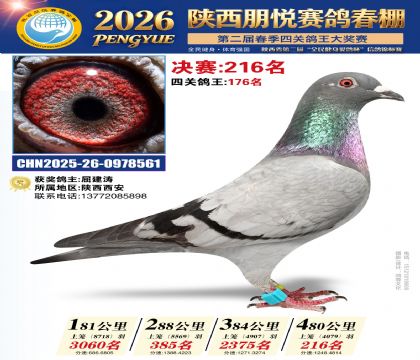陕西朋悦决赛216名