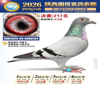 陕西朋悦决赛217名