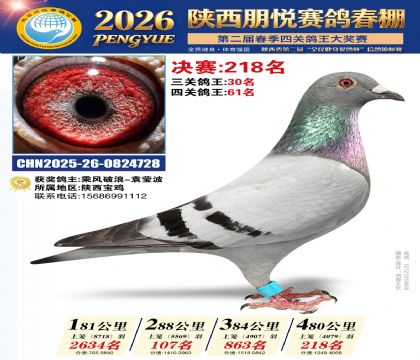 陕西朋悦决赛218名