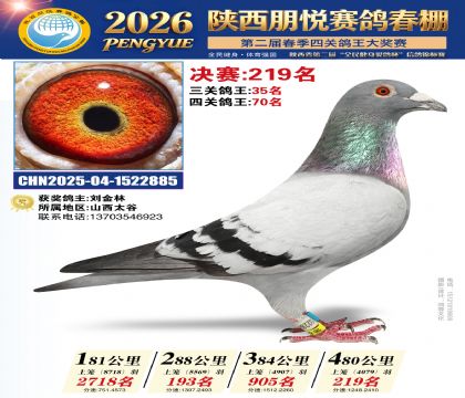 陕西朋悦决赛219名