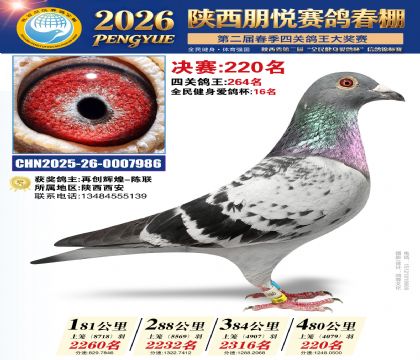 陕西朋悦决赛220名