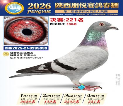 陕西朋悦决赛221名
