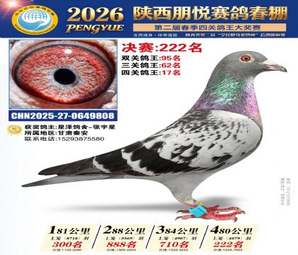 陕西朋悦决赛222名