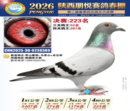 陕西朋悦决赛223名