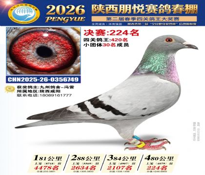陕西朋悦决赛224名