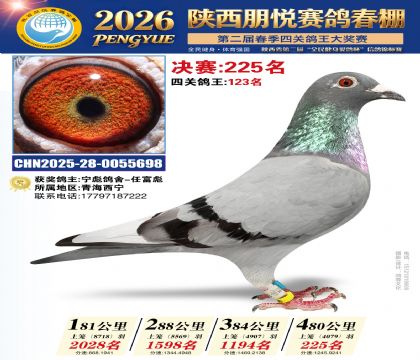 陕西朋悦决赛225名