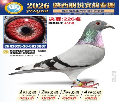 陕西朋悦决赛226名