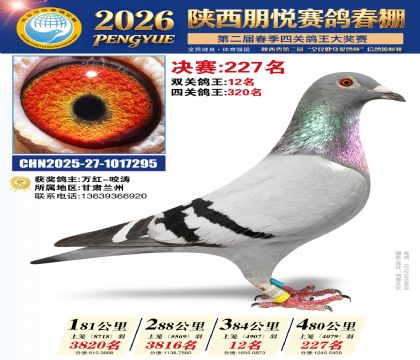 陕西朋悦决赛227名