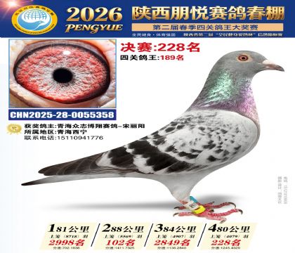 陕西朋悦决赛228名