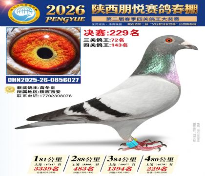 陕西朋悦决赛229名